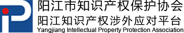 广东知识产权保护协会
