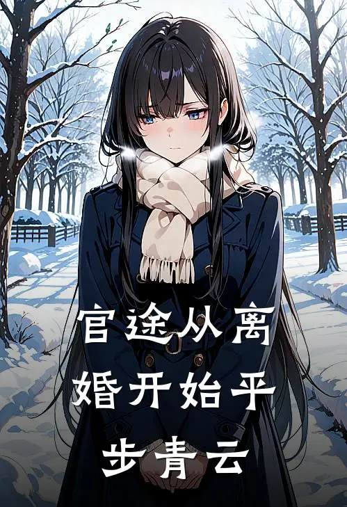 官途从离婚开始平步青云