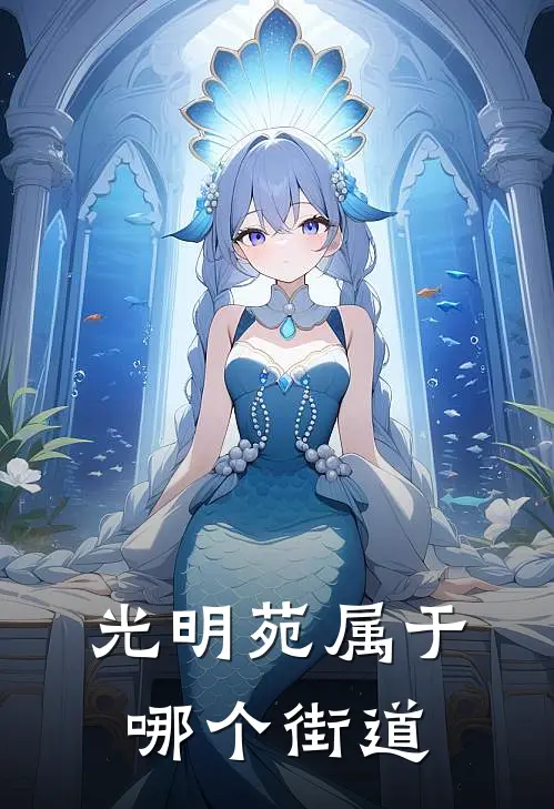 光明苑属于哪个街道