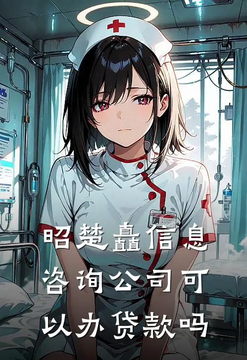 昭楚矗信息咨询公司可以办贷款吗