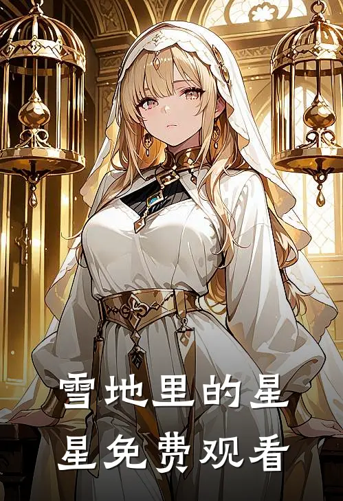 雪地里的星星免费观看