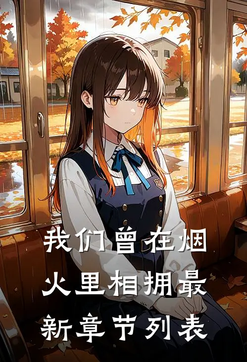 我们曾在烟火里相拥最新章节列表